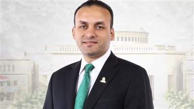 حد أدنى للنفقة وثلث ثروة الزوج للمطلقة.. النائب عمرو فهمي: إعداد مشروع قانون جديد للأحوال الشخصية