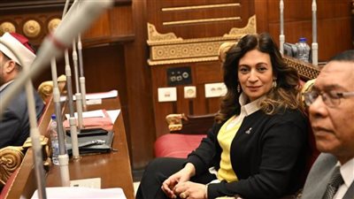ليس عقدًا ماليًا.. نيفين فارس تنتقد مقترح الحد الأدنى للنفقة ونسبة الثروة بعد الطلاق| خاص 