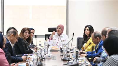 بطلب إحاطة من ضحى عاصي.. إعلام النواب تتابع تنفيذ أعمال 