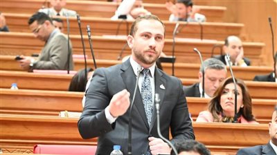 النائب محمد شيحة: تعافي الجنيه مؤشر إيجابي.. وانخفاض الأسعار مرهون باستمرار الاستقرار