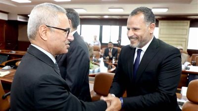 بشرة سارة لأهالي مركز ناصر.. محمد فاروق يناقش مع محافظ بنى سويف عددا من الملفات الخدمية