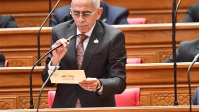 النائب نبيل العطار: توجيهات القيادة السياسية تعزز نجاح مبادرة «حياة كريمة» | خاص
