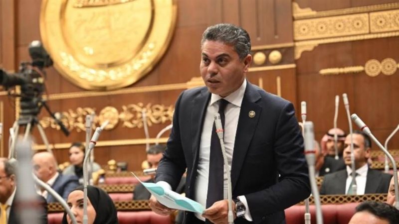 النائب مجدي البري