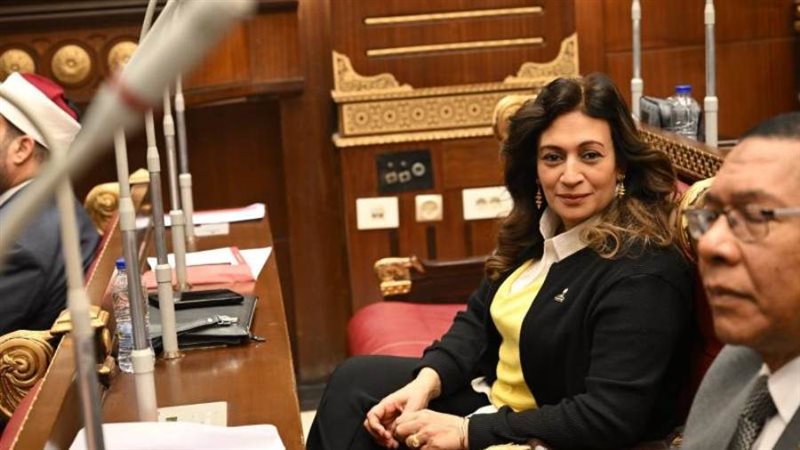 النائبة نيفين فارس