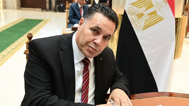 النائب عماد الغنيمي
