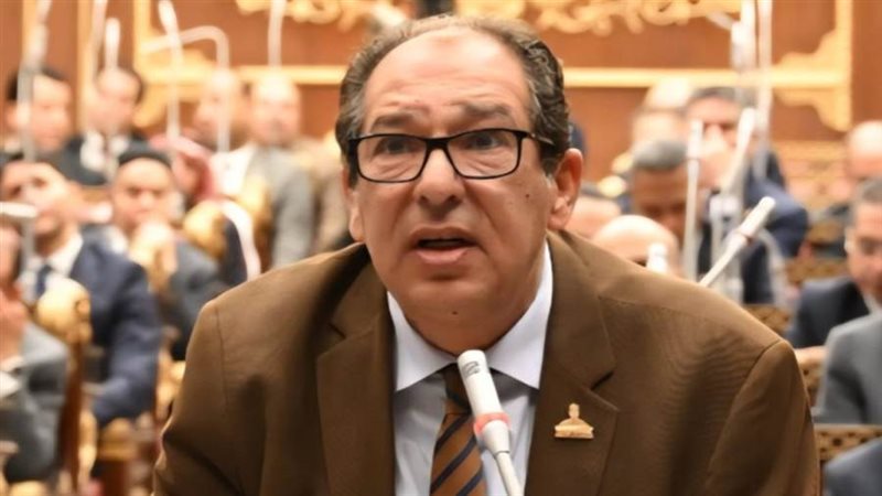 النائب حسام الخولي