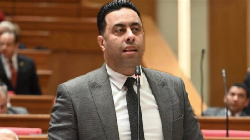 النائب أحمد فرغلي