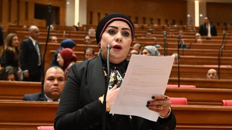 النائبة جيهان شاهين