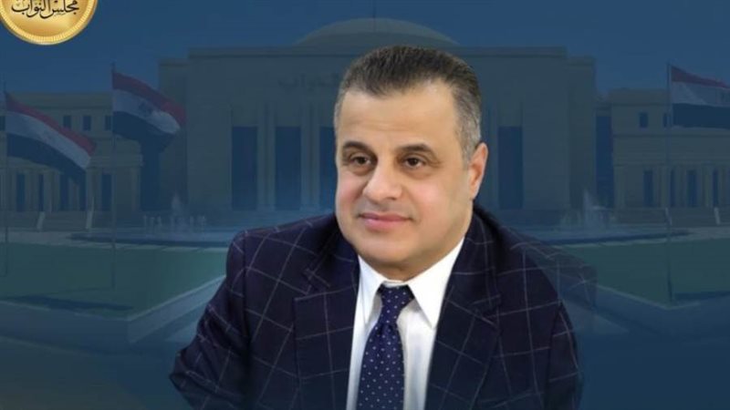 النائب عاصم عبدالعزيز
