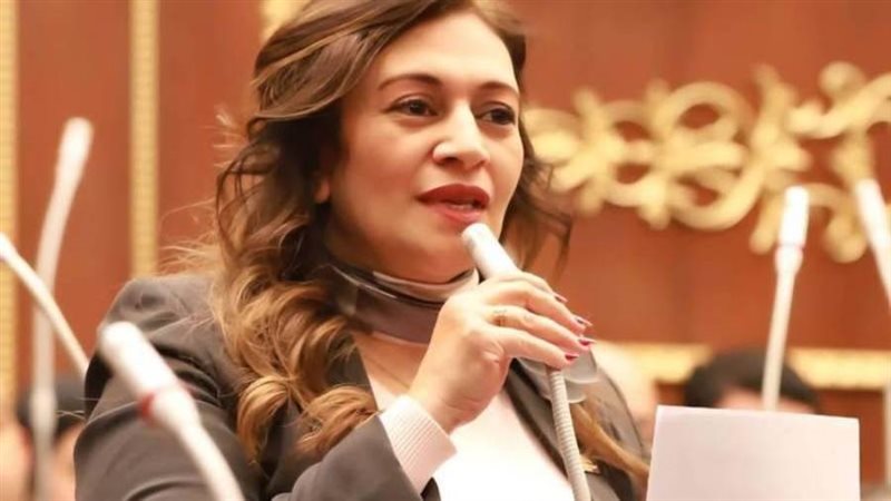 النائبة نيڤين فارس