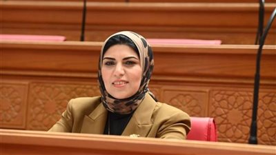 بطلب إحاطة من النائبة نهال أبو وافية.. 
