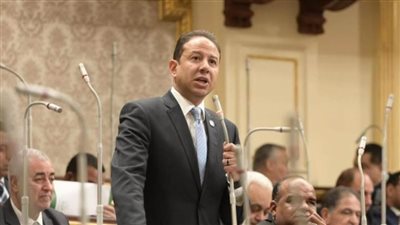 النائب حسن عمار يناقش معوقات المستثمرين بالمناطق الحرة وتأثيرها على التصدير