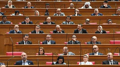تعديل قانون العقوبات لحماية الوالدين.. تفاصيل مشروع قانون جديد أمام النواب وهذه عقوبات الضرب في مصر