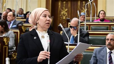 لجنة الصحة تناقش طلب النائبة فايزة عبدالعظيم بشأن  تطوير وحدات صحية ومستشفى شبراخيت
