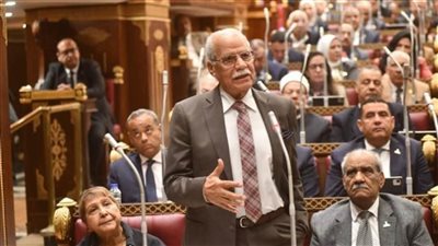 الحزب العربي الناصري: سيناء ستظل رمزًا للكرامة الوطنية ومشروعات التنمية امتداد لمعركة التحرير