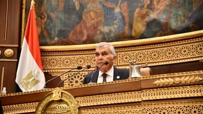 المراهانات وتطوير الاندية وأولمبياد 2028.. بدء أعمال الجلسة العامة لمجلس الشيوخ