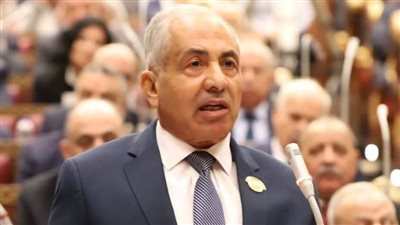 النائب أحمد العوضي: 