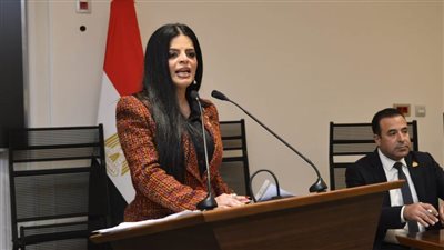 زينب بشير: الحضانة والرؤية تتصدران مقترحات المواطنين في قانون الأحوال الشخصية الجديد وحماية الطفل أولوية