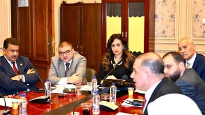 لجنة حقوق الإنسان بالشيوخ تقر مقترح نفين فارس لتعزيز دور المركز القومي للبحوث