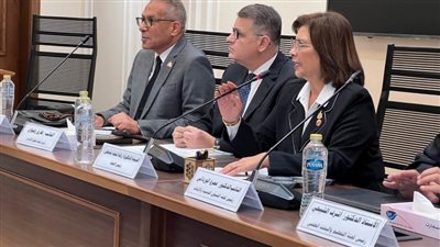 راندا مصطفى: الأطفال هم الأكثر تضررًا من الانفصال والتوازن هو الحل