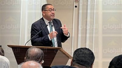 الأطفال ضحايا الخلافات.. صرخات من “نجدة الطفل” تطالب بقانون أسرة يضع مصلحة الصغار أولًا