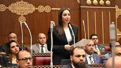 النائبة حنان وجدي تدعو وزارة المالية لتحمل مسئولياتها في الحفاظ على استدامة منظومة المعاشات 