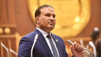 النائب تامر عبد الحميد: الطاقة الشمسية طريق مصر لتأمين احتياجاتها وتقليل فاتورة الاستيراد|خاص