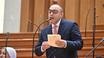 أحمد علاء فايد: مشروع 