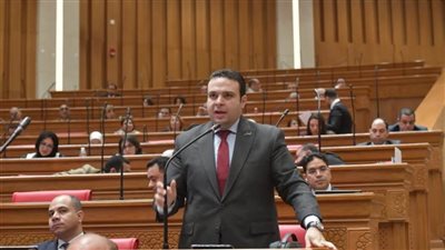 قانون الحكومة لا يعالج الثغرات.. النائب عبد المنعم إمام يرفض مشروع تعديل قانون التأمينات الاجتماعية والمعاشات