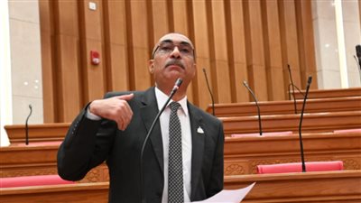 النائب إيهاب منصور يرفض تعديل قانون التأمينات: أصحاب المعاشات يعانون والحكومة تقول “فوت علينا بكرة”