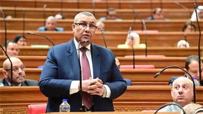 رغم تحسن المؤشرات.. مصطفى سالم يفتح ملف المنازعات الضريبية ويطالب بتقييم الأداء