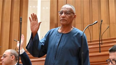 مدحت ركابي يتقدم بسؤال برلماني حول تأخر توصيل الغاز لآلاف المواطنين بأسوان