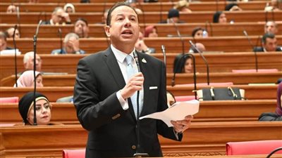 النائب حسن عمار: المال العام أمانة سنسأل عنها أمام الله ولن نعتمد الحساب الختامي دون مراجعة