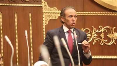 النائب محمد فريد: مواجهة المنظمات 