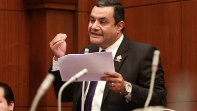 النائب أكمل نجاتي يطرح أزمة تأخر حوافز العاملين بالضرائب أمام 