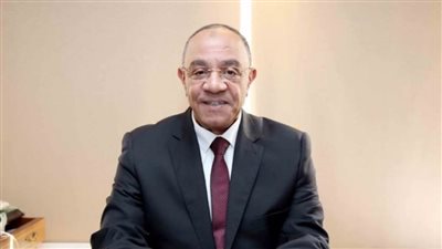 النائب عادل ناصر: القاهرة تقف بقوة مع الإمارات ضد أي تهديد يمس سيادتها وأمنها