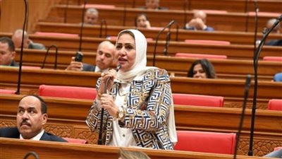 النائبة سحر صدقي: افتتاح كوبري 