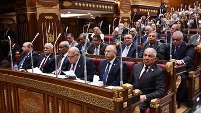 وزير التعليم العالي من البرلمان: موازنة المستشفيات الجامعية لا تكفي سوى ثلث التشغيل