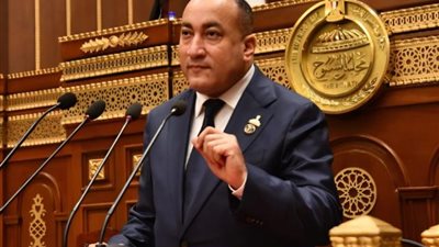عمرو رشاد: مصر تقود رؤية أفريقية متكاملة في التحول الرقمي والطاقة وإصلاح النظام المالي الدولي
