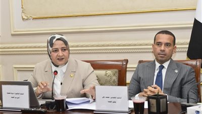 لتخفيف الأحمال عن الشبكة القومية.. مروة قنصوه تناقش دعم الاستثمار في الطاقة الشمسية