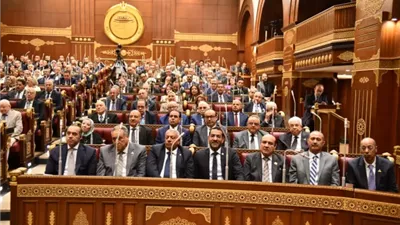تطوير المطارات ضمن مناقشات مجلس الشيوخ اليوم بطلب من النائبة هبة شاروبيم