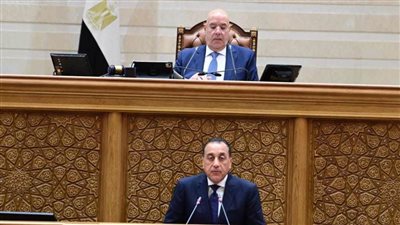 مصطفى مدبولي أمام البرلمان: أمن أشقائنا في الخليج جزء لا يتجزأ من الأمن القومي المصري