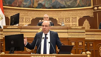 وزير الطيران أمام الشيوخ: لا نخفي شيئًا.. طرح المطارات للتشغيل وليس بيعًا