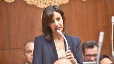 يوستينا رامي: الحفاظ على مكانة الطيران المصري يتطلب إجابات واضحة حول كفاءة الأسطول  وواقعية الخطط