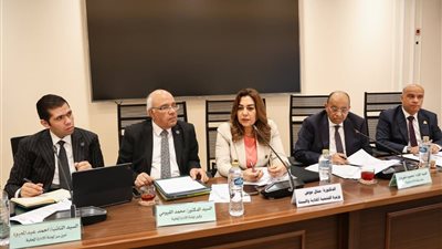 وزيرة التنمية المحلية أمام النواب: قررنا خصم 50% من قيمة التصالح لمستفيدي (تكافل وكرامة) والعمالة غير المنتظمة