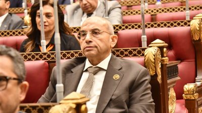 أشرف عبد الغني: مطار سفنكس يجب أن يكون نواة لمشروع (المطار المدينة) لضمان الربحية المستدامة