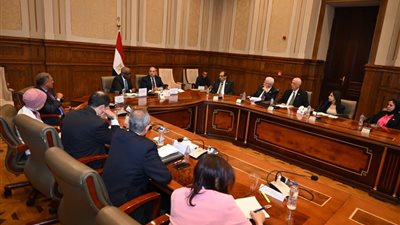 لجنة الشئون الخارجية بالشيوخ تناقش تطورات العلاقات المصرية الإفريقية وملف السودان وسد النهضة