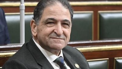 النائب سامي سوس: صندوق دعم الأسرة المصرية 