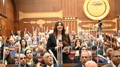 النائبة غادة البدوي: المهارات الرقمية 