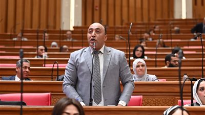 النائب حسام حسن: الرقابة على سوق التمويل الاستهلاكي 